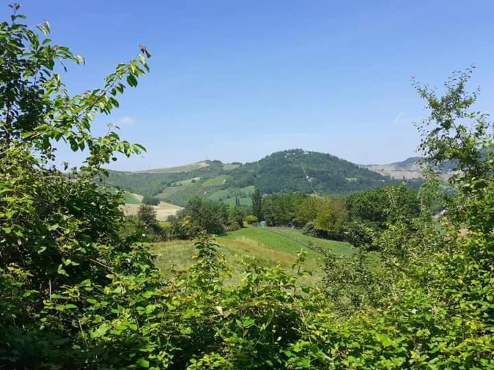 Ai Boschi Leilighet Ozzano dell'Emilia Eksteriør bilde